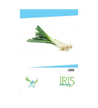 Iris Imported Leek 30 Seeds
